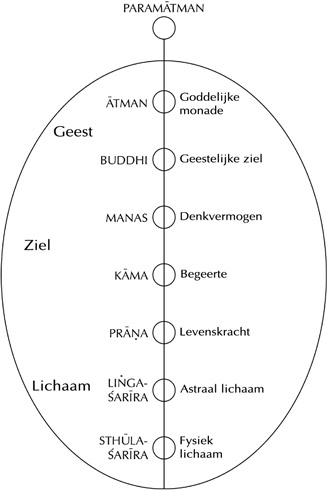 Afbeelding invoegen